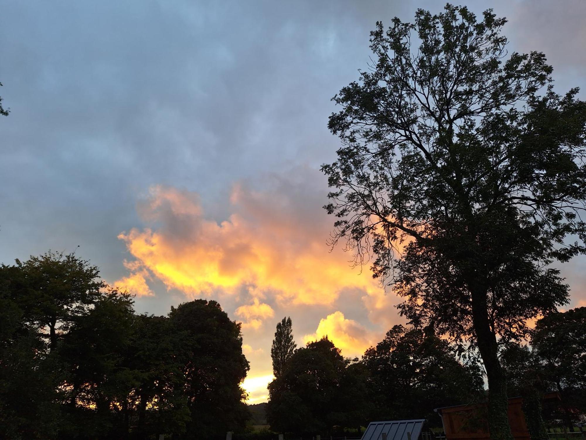 Leonilys Lägenhet Neufchâtel-Hardelot Rum bild